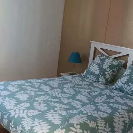 Chalet Le Ticaco Avec Wifi Satellite Soustons