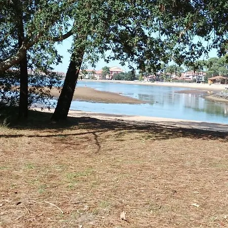 Chalet Le Ticaco Avec Wifi Satellite Soustons