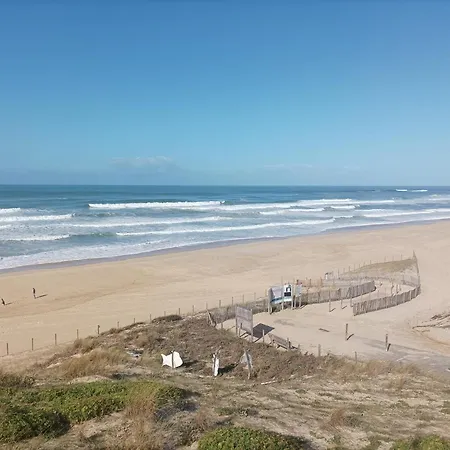 Chalet Le Ticaco Avec Wifi Satellite Soustons