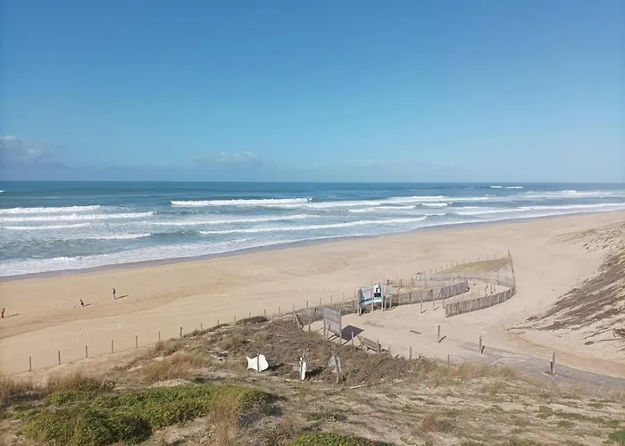 Alpehytte Le Ticaco Avec Wifi Satellite Soustons